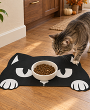Spooky Spill-Proof Pet Mat